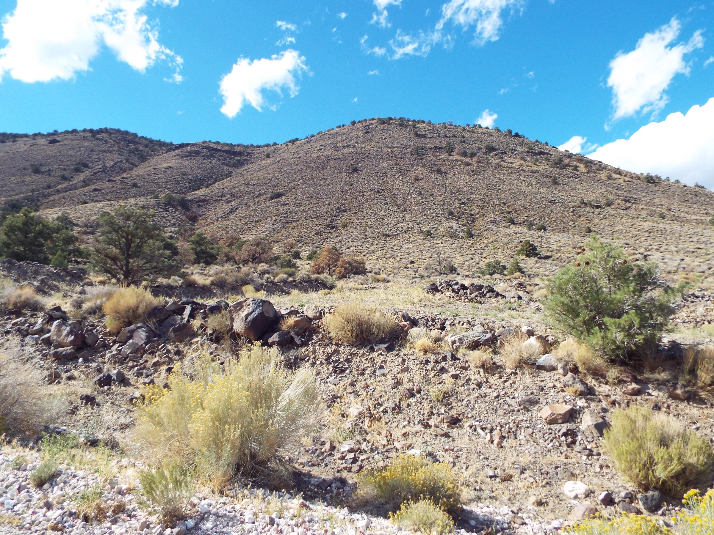 View toward the rear of the lot, roughly 1,000 feet away