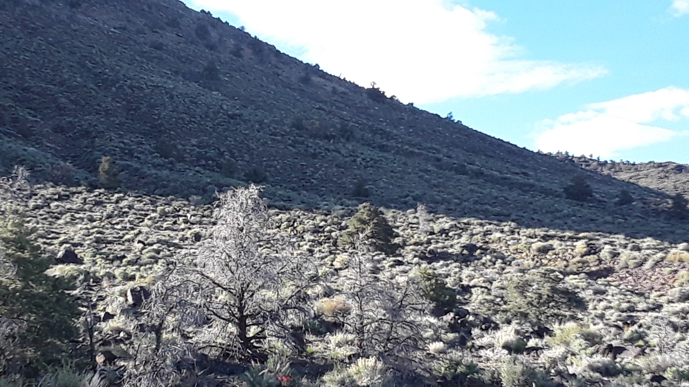 View northwest from the rear of the home site